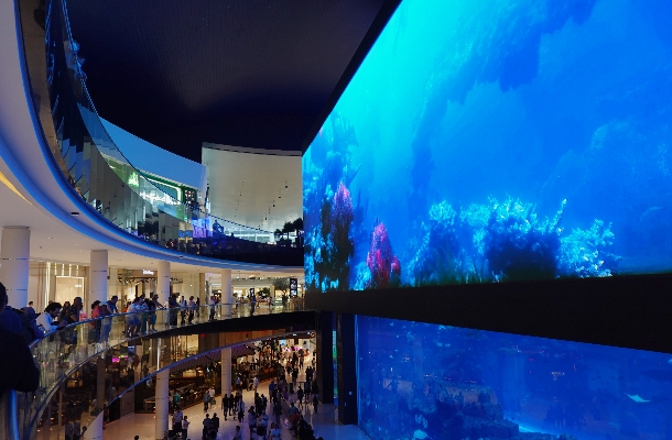 酒店內自由活動→Wild Wadi Jumeira水上樂園→世界最大杜拜購物中心 (水族館外牆~音樂噴泉~哈里發塔外觀拍照~美食街)→杜拜機場