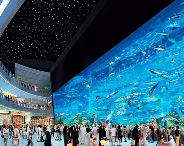 杜拜旅遊-杜拜室內水族牆