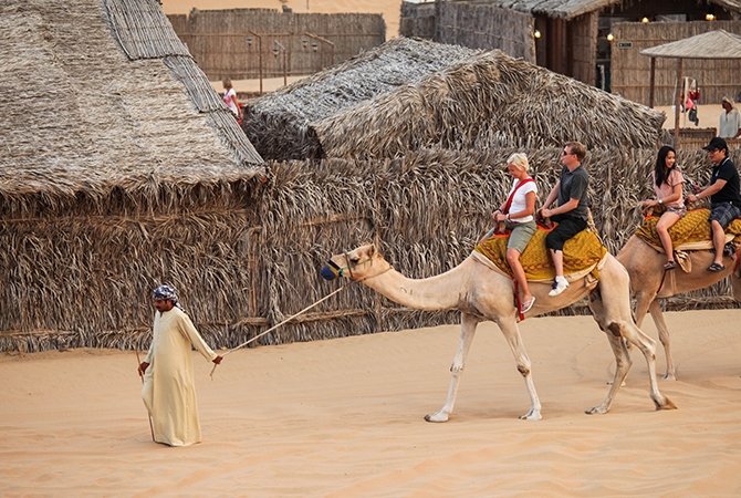杜拜旅遊-沙漠騎駱駝