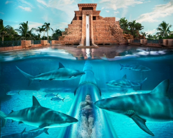 亞特蘭提斯-AQUA VENTURE水上探險樂園→亞特蘭提斯-失落的寢宮水族館LOST CHAMBERS →SAFARI衝沙冒險之旅+騎駱駝+阿拉伯水煙+肚皮舞+傳統舞+獵鷹表演+漢娜刺青+BBQ晚餐